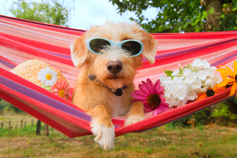 Vacation effect lasts up to 43 days
